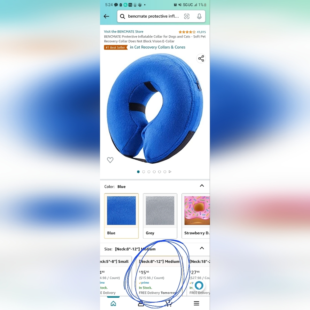 Inflatable dog collar